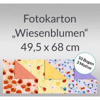 Fotokarton "Wiesenblumen" 49,5 x 68 cm - 10 Bogen sortiert