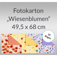 Fotokarton "Wiesenblumen" 49,5 x 68 cm - 10 Bogen