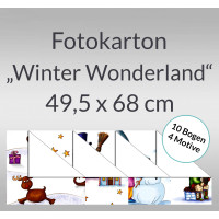 Fotokarton "Winter Wonderland" 49,5 x 68 cm - 10 Bogen sortiert