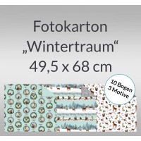 Fotokarton "Wintertraum" 49,5 x 68 cm - 10 Blatt sortiert