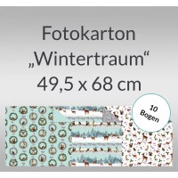 Fotokarton "Wintertraum" 49,5 x 68 cm - 10 Blatt