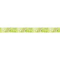 Masking Tape "Blumenbordüre 3", 1 Rolle