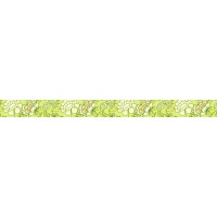 Masking Tape "Blumenbordüre 3", 1 Rolle