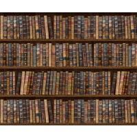 Motiv-Fotokarton 49,5 x 68 cm Bibliothek