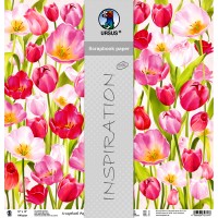 Scrapbooking Papier "Tulpen" - 25 Blatt