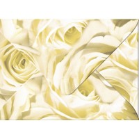Transparentpapier-Kuverts "Rosen" 115 g/qm champagner - 5 Stück