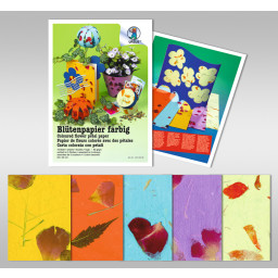 Blütenpapier farbig 80 g/qm 50 x 70 cm - 5 Bogen