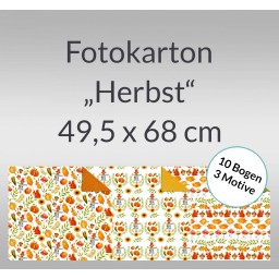 Fotokarton 