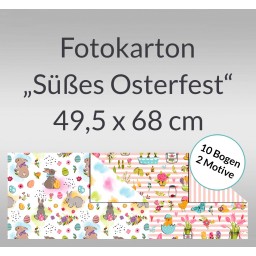 Fotokarton 