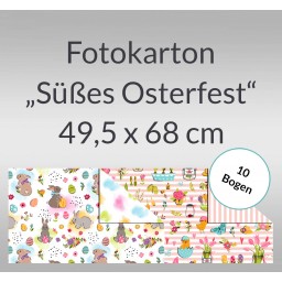 Fotokarton 