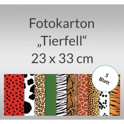 Fotokarton 