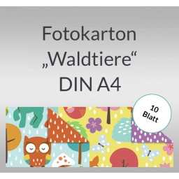 Fotokarton 