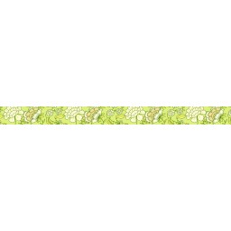 Masking Tape 