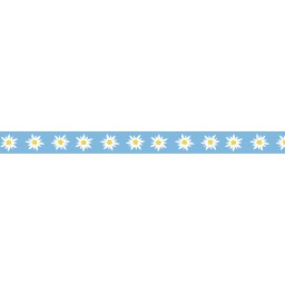 Masking Tape 