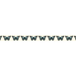 Masking Tape 