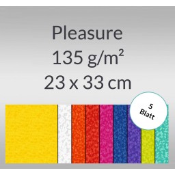 Pleasure 135 g/qm 23 x 33 cm - 5 Blatt