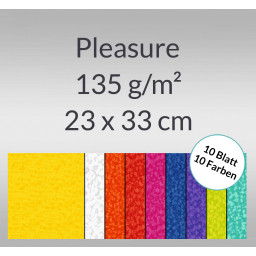 Pleasure 135 g/qm 23 x 33 cm - 9 Blatt sortiert
