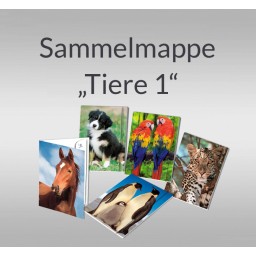 Sammelmappe 