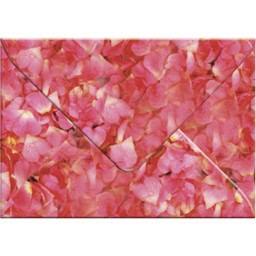 Transparentpapier-Kuverts 