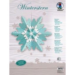 Winterstern eisblau-mint