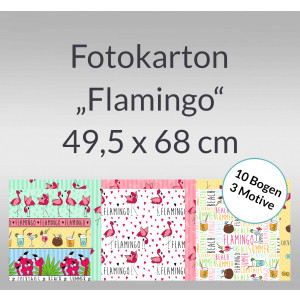 Fotokarton "Flamingo" 49,5 x 68 cm - 10 Bogen sortiert