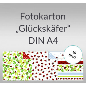 Fotokarton "Glückskäfer" DIN A4 - 10 Blatt