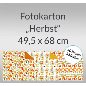 Fotokarton "Herbst" 49,5 x 68 cm - 10 Blatt sortiert