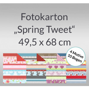 Fotokarton "Spring Tweet" 49,5 x 68 - 10 Bogen sortiert