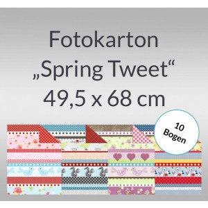 Fotokarton "Spring Tweet" 49,5 x 68 cm - 10 Bogen