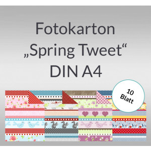 Fotokarton "Spring Tweet" DIN A4 - 10 Blatt