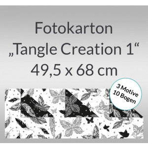 Fotokarton "Tangle Creation 1" 49,5 x 68 cm - 10 Bogen sortiert