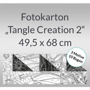 Fotokarton "Tangle Creation 2" 49,5 x 68 cm - 10 Bogen sortiert