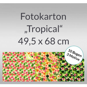 Fotokarton "Tropical" 49,5 x 68 cm - 10 Bogen sortiert