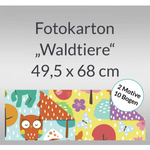 Fotokarton "Waldtiere" 49,5 x 68 cm - 10 Bogen sortiert