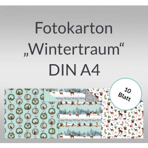 Fotokarton "Wintertraum" DIN A4 - 10 Blatt