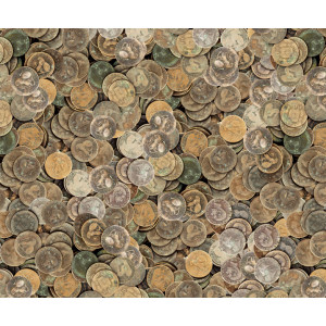 Motiv-Fotokarton 49,5 x 68 cm Münzen