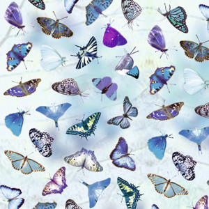 Scrapbooking Papier "Transparentpapier" Schmetterlinge blau - 5 Blatt