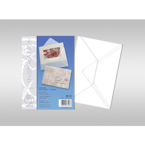 Transparentpapier-Kuverts "Uni" 115 g/qm 157 x 225 mm - 5 Stück