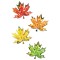 Weiteres Bild zu 3D Paper Decoration "Herbstlaub"