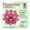Weiteres Bild zu Faltblätter Florentine "Springtime" 10 x 10 cm - 65 Blatt