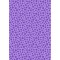 Weiteres Bild zu Fotokarton "Deluxe" 23 x 33 cm - 10 Blatt