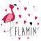 Weiteres Bild zu Fotokarton "Flamingo" 49,5 x 68 cm - 10 Bogen