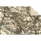 Weiteres Bild zu Fotokarton "Maps" 22,7 x 32,7 cm - 8 Blatt sortiert