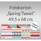 Weiteres Bild zu Fotokarton "Spring Tweet" 49,5 x 68 - 10 Bogen sortiert