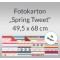 Weiteres Bild zu Fotokarton "Spring Tweet" 49,5 x 68 cm - 10 Bogen