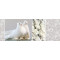 Weiteres Bild zu Mini-Tischlichter "Ambiente" weiße Tauben - Motiv 112