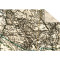 Weiteres Bild zu Tonzeichenpapier "Maps" 34 x 49,5 cm - 8 Blatt sortiert