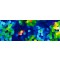 Weiteres Bild zu Transparentpapier "Mosaik" DIN A4 dunkel - 5 Blatt